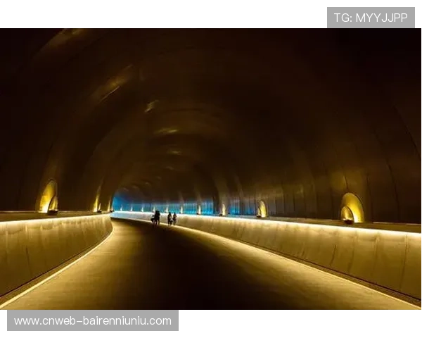 游泳主题摄影展亮相美术馆，捕捉水下光影艺术